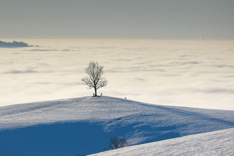 Adventure Escape Landscape